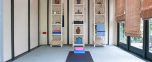 Yoga Therapy